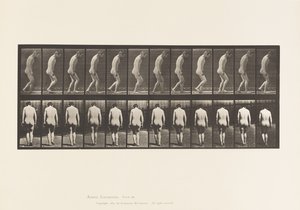 Tavola 558. Paraplegia; parziale; camminare, 1885 da Eadweard Muybridge
