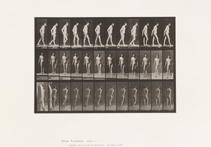 Tavola 559. Sclerosi Disseminata; Camminando con bastone da Eadweard Muybridge