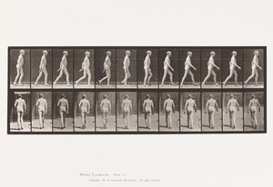 Tavola 562. Curvatura Laterale della Colonna Vertebrale; Camminata da Eadweard Muybridge