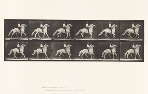 Andare al passo da Eadweard Muybridge