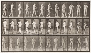 Camminare, girarsi spazzando il pavimento (tavola 58) da Eadweard Muybridge