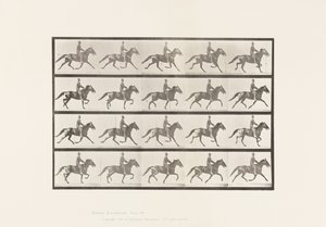 Dondolare da Eadweard Muybridge