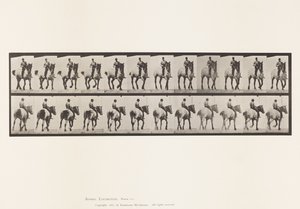 Tavola 600. Trotto; Senza sella; Grigio scuro Dusel da Eadweard Muybridge