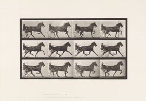 Tavola 606. Trotto; Sulky; Cavallo Baio Reuben da Eadweard Muybridge