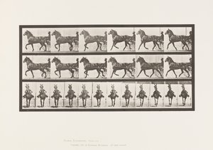 Tavola 612. Trotto; Sulky; Cavallo Baio Dereumd da Eadweard Muybridge