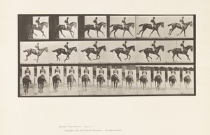 Tavola 620. Trotto; Sella; Cavalla Purosangue Baia Annie 6 da Eadweard Muybridge