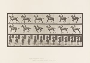 Tavola 621. Trotto; Sella; Cavalla Purosangue Baia Annie 6 da Eadweard Muybridge