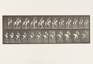 Tavola 635. Galoppo; Sella; Cavalla Grigia Pandora da Eadweard Muybridge