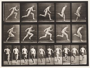 Tavola 63. Correre a tutta velocità da Eadweard Muybridge