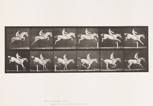 Piastra 643. Saltare un Ostacolo; Senza Sella; Superamento e Atterraggio da Eadweard Muybridge