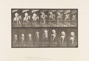 Piastra 644. Saltare un ostacolo; Sella; Superamento e atterraggio da Eadweard Muybridge