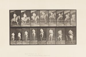Tavola 645. Salto di un Ostacolo; Sella; Superamento e Atterraggio da Eadweard Muybridge