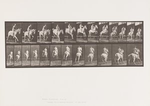 Tavola 647. Saltando un Ostacolo; Senza Sella; Cavaliere da Eadweard Muybridge