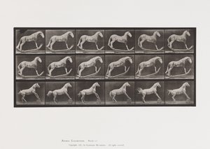 Piastra 649. A, Calabrone, Dondolante; B, Aquila, Barile Rotolante, Etc.