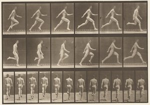 Tavola 64. Corsa a tutta velocità da Eadweard Muybridge