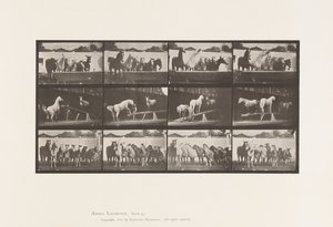 Piastra 651. A, Suonare la Campana; B, Tavola Oscillante; C, Addestramento Militare da Eadweard Muybridge