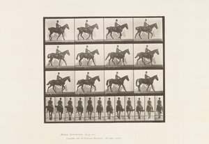 Piastra 655. Camminare; Sella; Spavino, gamba posteriore destra; Cavallo da Eadweard Muybridge