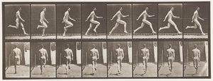 Tavola 65. Correre a tutta velocità da Eadweard Muybridge