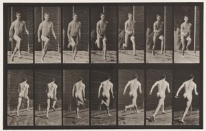 Tavola 66. Corsa da Eadweard Muybridge