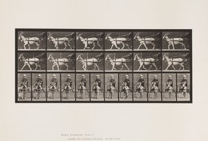 Piastra 678. Capra; Trotto, in Sulky