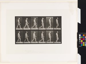 Tavola 6. Camminare da Eadweard Muybridge