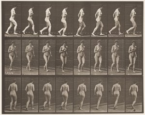 Tavola 70. Correre da Eadweard Muybridge