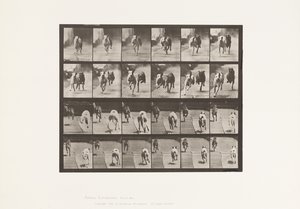 Tavola 711. Cani; Due in Gara; A, B; Levrieri da Corsa, Ike & Maggie da Eadweard Muybridge