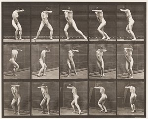 Tavola 73. Girarsi di sorpresa e scappare da Eadweard Muybridge