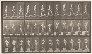 Tavola 74. Salire una pendenza, angolo 1 su 4 da Eadweard Muybridge