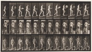 Tavola 78. Salire una pendenza, sventolare un ventaglio, 1872-1885 da Eadweard Muybridge