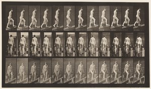 Tavola 81. Salire una pendenza da Eadweard Muybridge