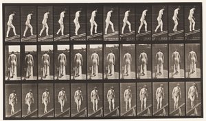 Tavola 85. Salire una pendenza da Eadweard Muybridge