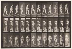 Salire una pendenza da Eadweard Muybridge