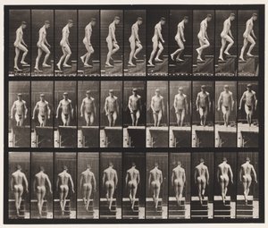Tavola 88. Salire le scale da Eadweard Muybridge
