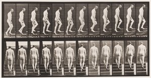 Tavola 89. Salita delle scale da Eadweard Muybridge