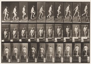 Tavola 90. Salita delle scale da Eadweard Muybridge