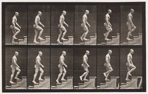 Tavola 91. Salita delle scale da Eadweard Muybridge