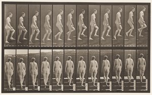 Piatto 92. Salendo le scale da Eadweard Muybridge