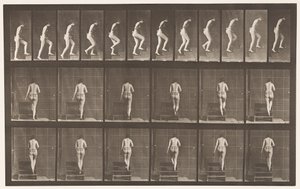 Piastra 93. Salire le scale da Eadweard Muybridge