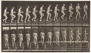 Tavola 94. Salire le scale guardandosi intorno; Bacino in mano da Eadweard Muybridge