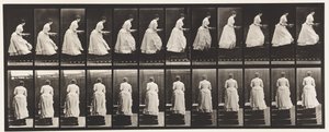 Tavola 95. Salire le scale, un bacino in mano, 1885 da Eadweard Muybridge