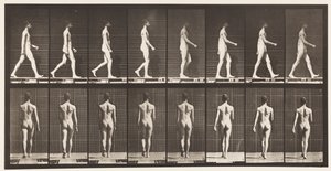 Camminare da Eadweard Muybridge