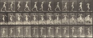 Tavola numero 175. Attraversamento del ruscello su pietre con una canna da pesca e un barattolo da Eadweard Muybridge