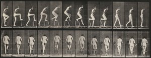 Tavola numero 180. Salire e scendere da una sedia da Eadweard Muybridge