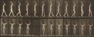  da Eadweard Muybridge