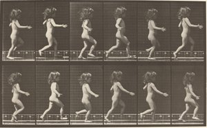 Tavola Numero 469. Bambino che Corre