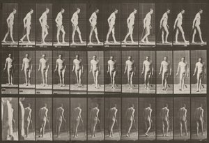  da Eadweard Muybridge