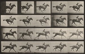  da Eadweard Muybridge