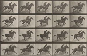  da Eadweard Muybridge