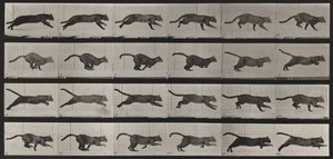  da Eadweard Muybridge